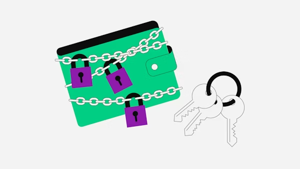 What are multiseg wallets and how do they work?